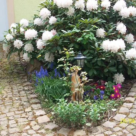 Giesis Wohlfuehloase Dobeln