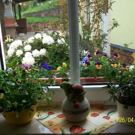 Giesis Wohlfuehloase *