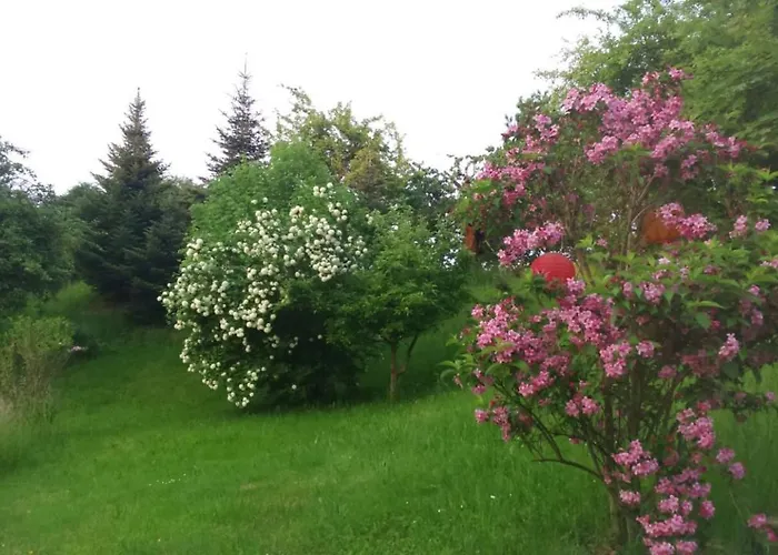 Giesis Wohlfühloase Döbeln