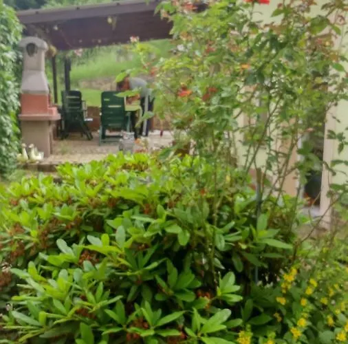 Privatunterkunft Giesis Wohlfühloase